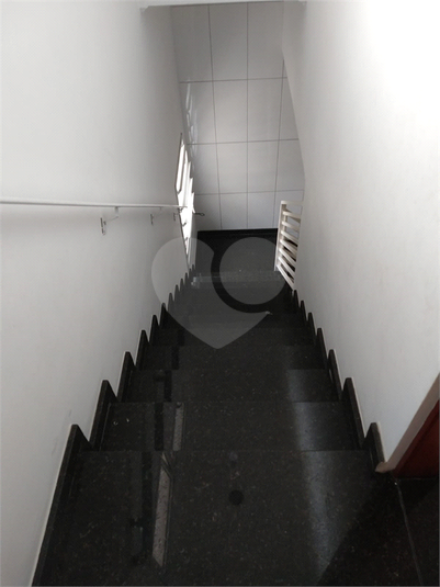 Foto REO651552