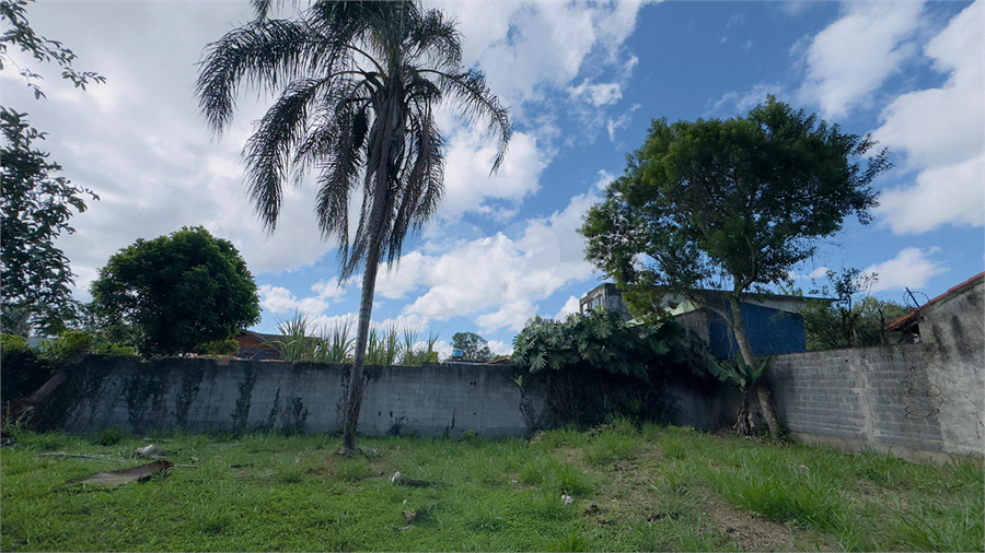 Foto REO651599