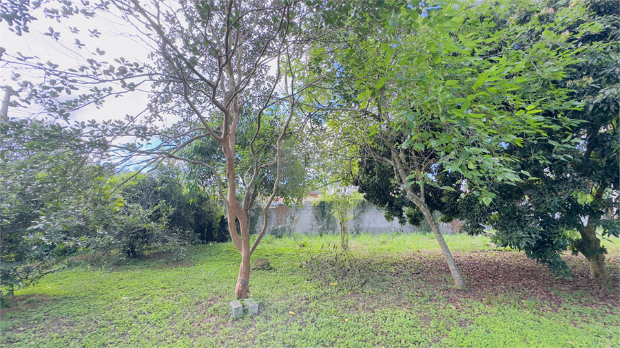 Foto REO651599