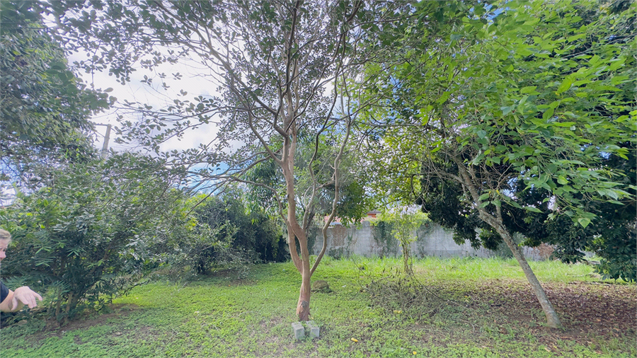 Foto REO651599