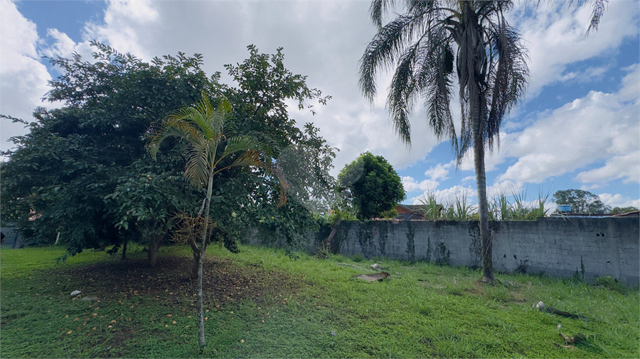 Foto REO651599