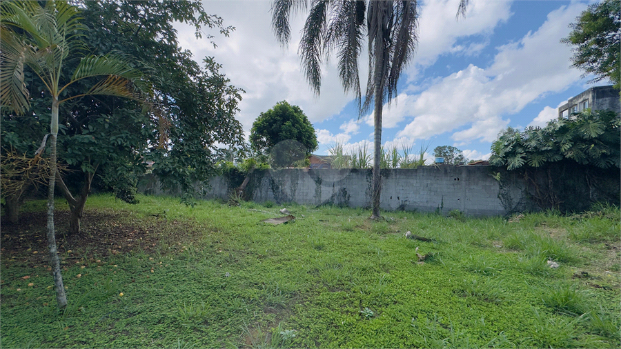 Foto REO651599