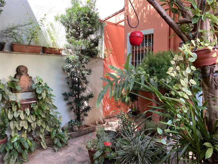 Foto REO651615