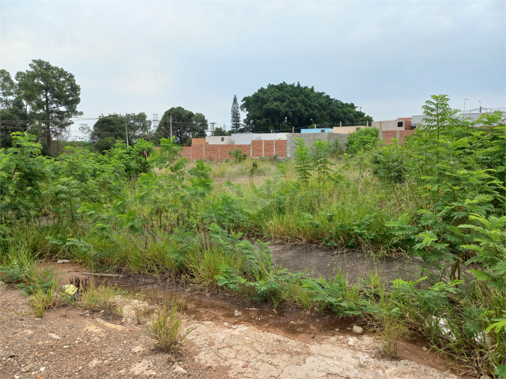 Venda Loteamento São Carlos Parque Industrial REO651663 13