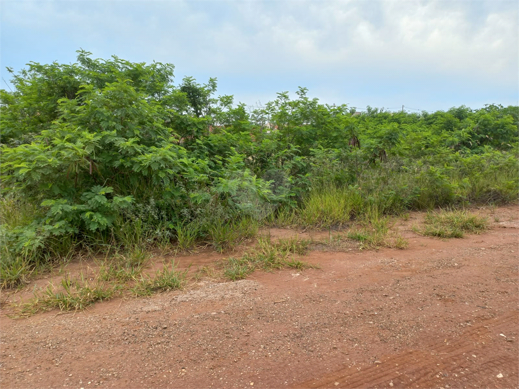 Venda Loteamento São Carlos Parque Industrial REO651663 8