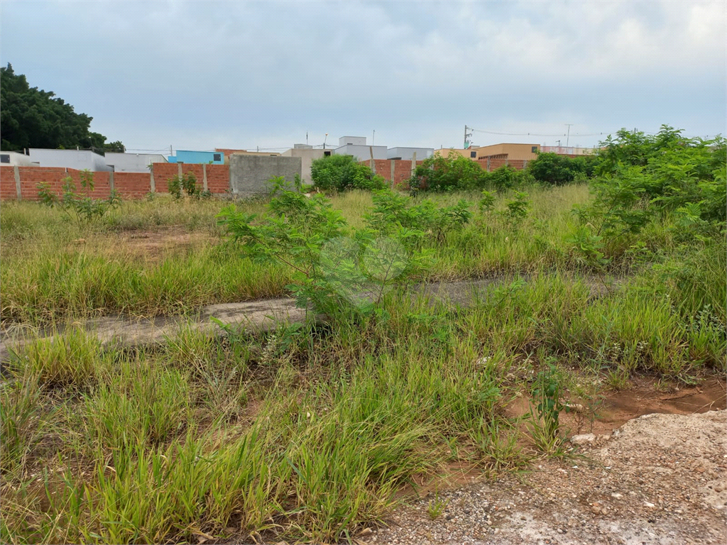 Venda Loteamento São Carlos Parque Industrial REO651664 15