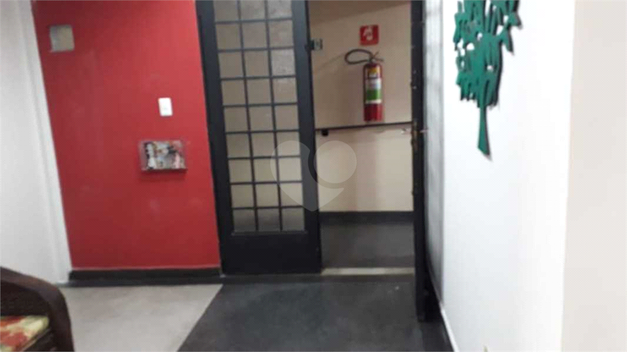 Foto REO651673
