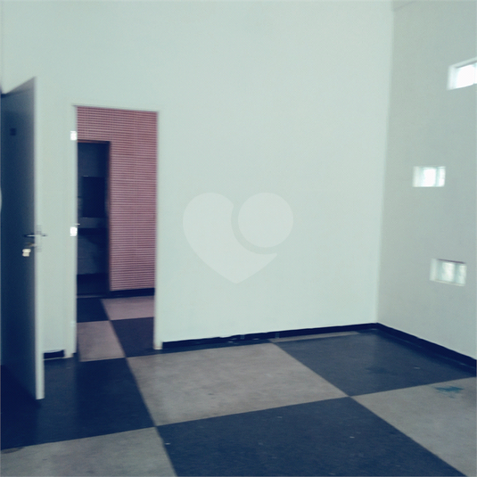 Foto REO651673