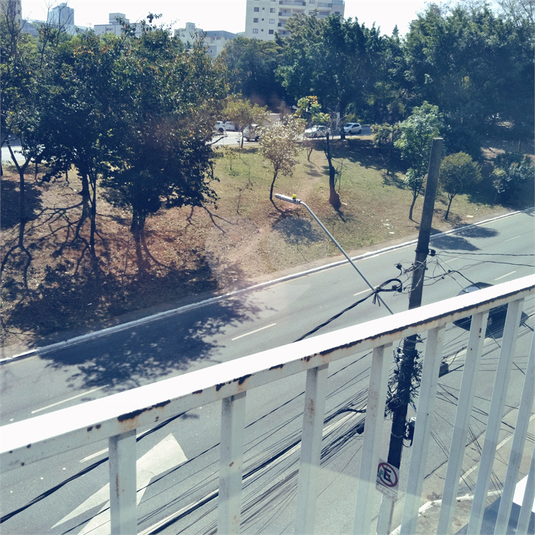 Foto REO651673