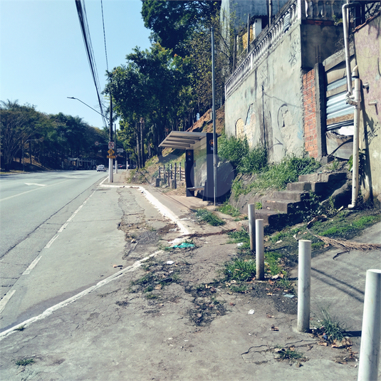 Foto REO651673