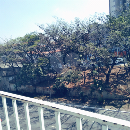 Foto REO651673