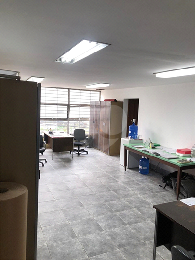Foto REO651847