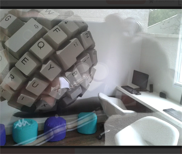 Foto REO651914