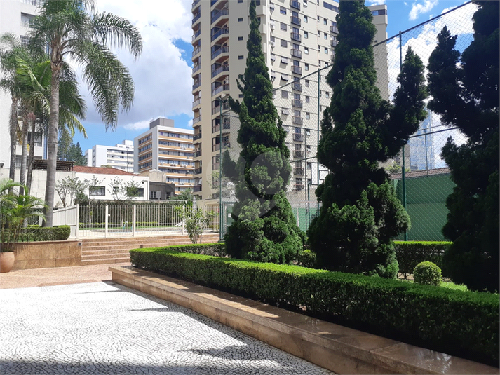 Foto REO652312