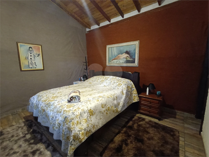 Foto REO652378