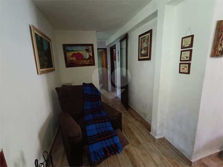 Foto REO652378