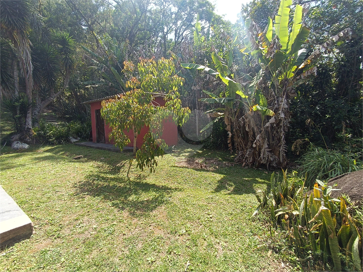 Foto REO652378