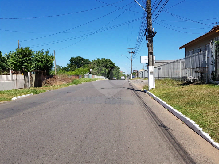 Foto REO652401