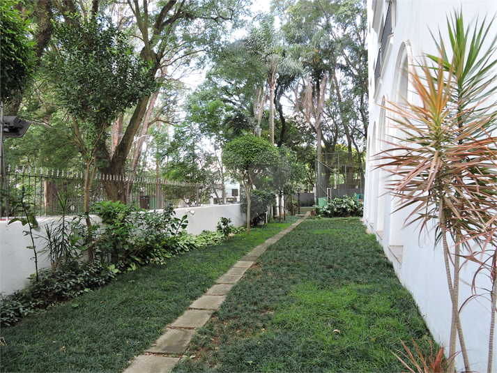 Foto REO652864