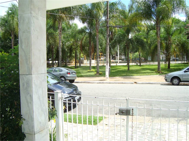 Foto REO652933