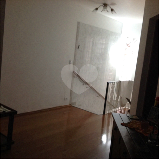 Foto REO652970