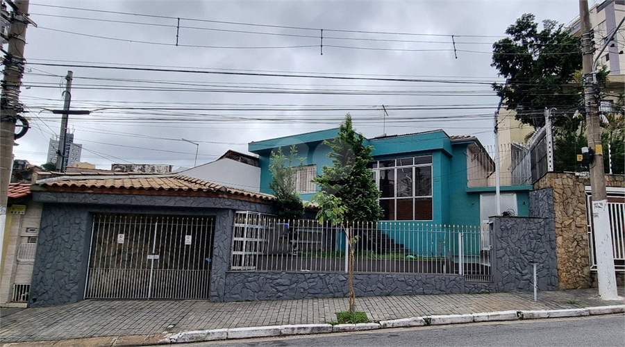 Foto REO653054