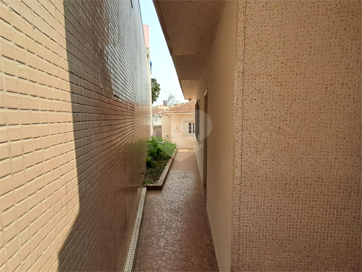 Foto REO653054