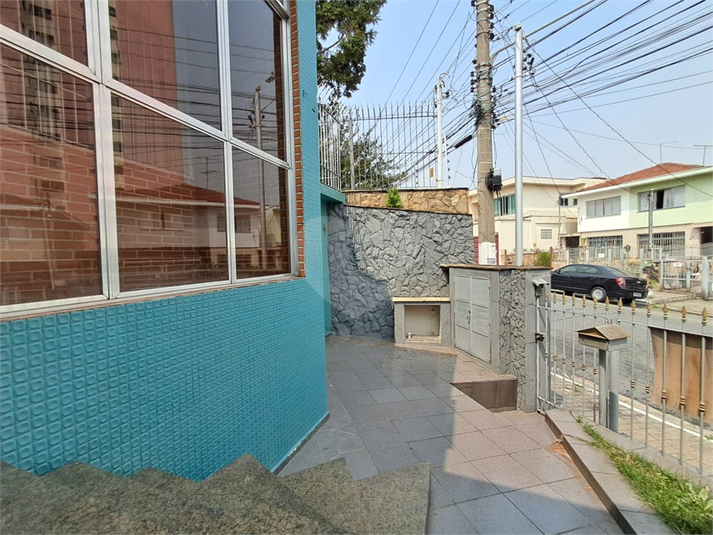 Foto REO653054