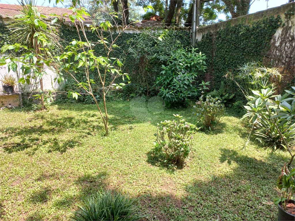 Venda Terreno São Paulo Vila Albertina REO653210 43