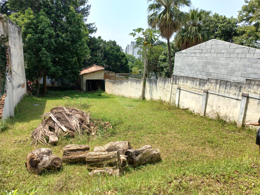 Venda Terreno São Paulo Vila Albertina REO653210 20