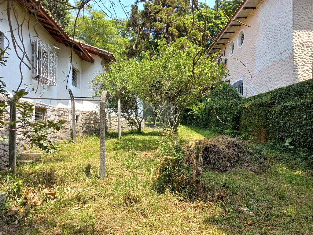 Venda Terreno São Paulo Vila Albertina REO653210 6