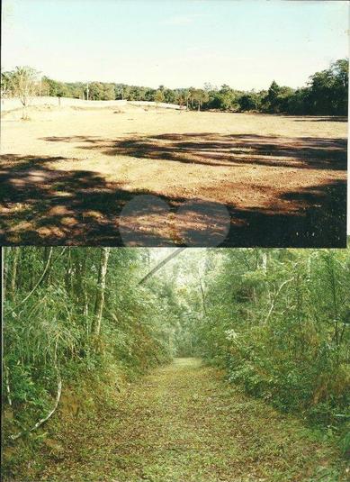 Venda Terreno Embu Jardim Itatiaia REO65362 7