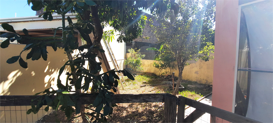 Foto REO653911