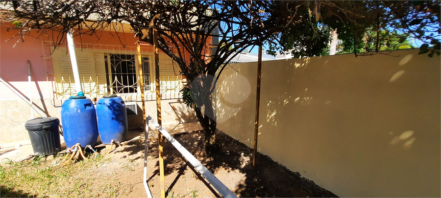 Foto REO653911