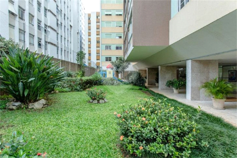 Foto REO653962