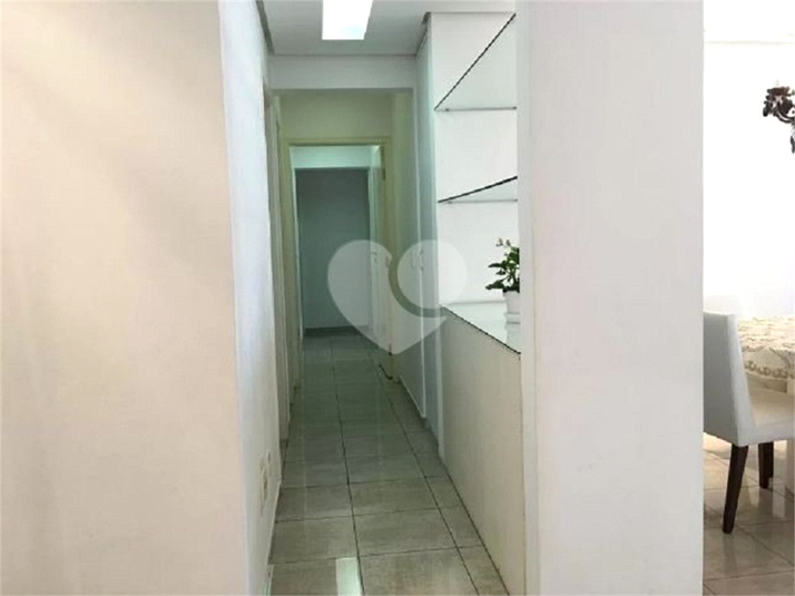 Foto REO653962