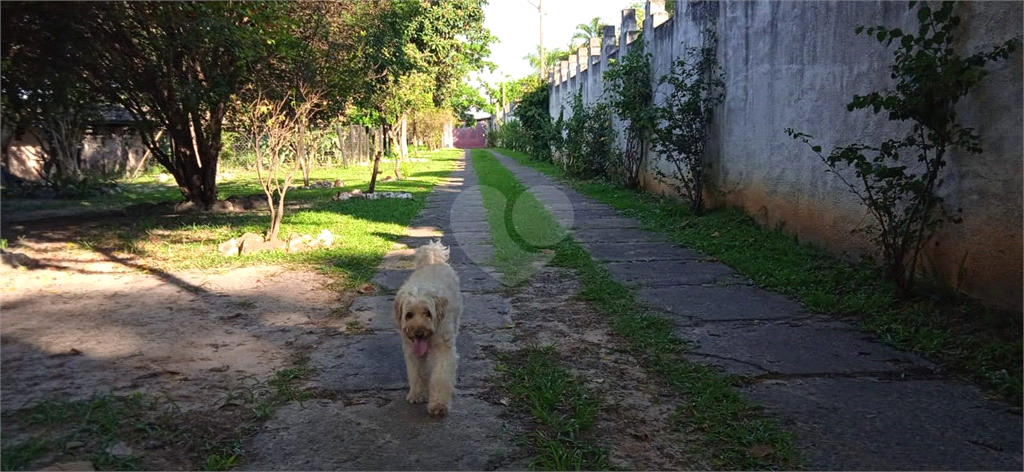 Venda Chácara Nova Odessa Chácaras De Recreio Represa REO654015 70