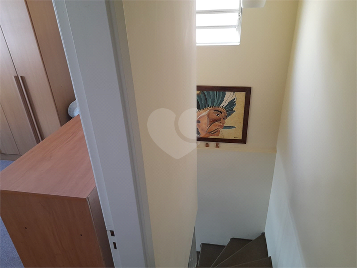 Foto REO654067