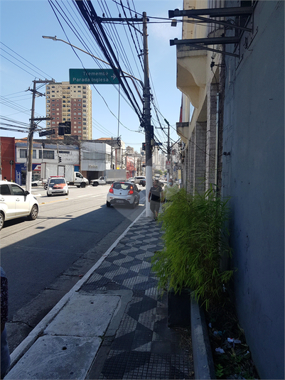 Foto REO654179