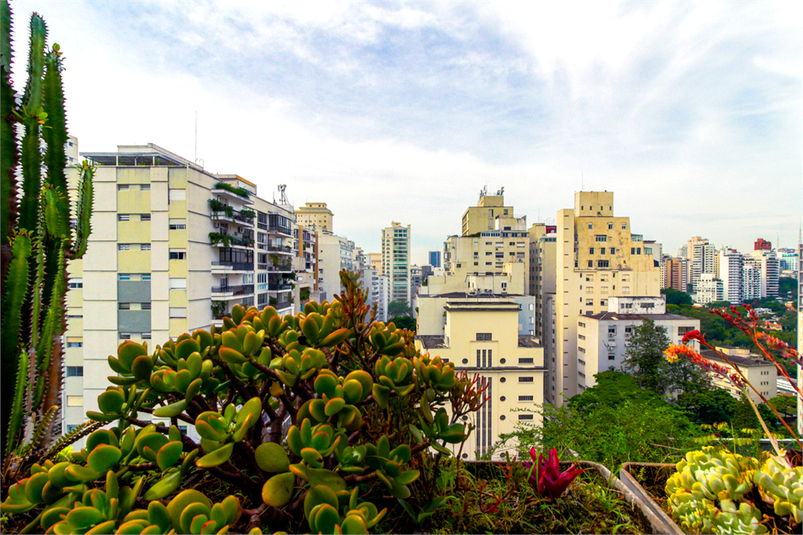 Venda Apartamento São Paulo Higienópolis REO654424 29