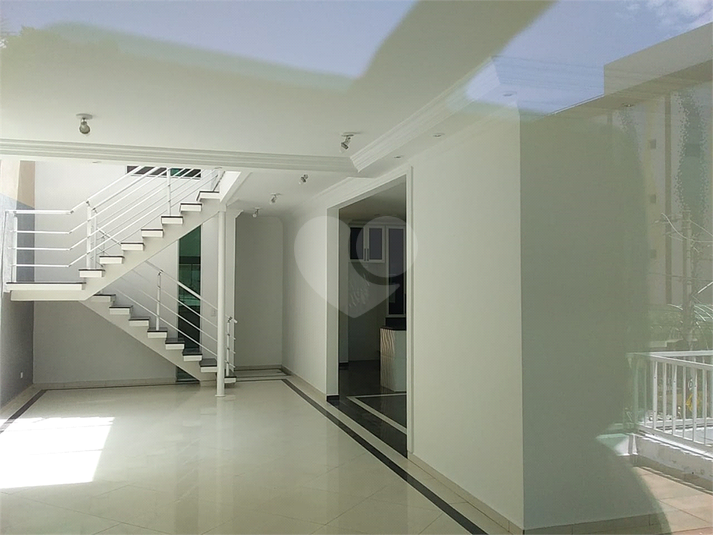Foto REO656177