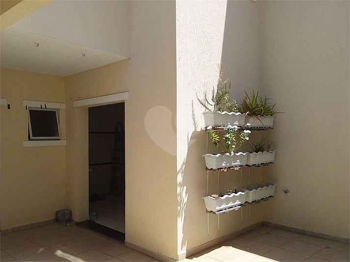 Foto REO656177