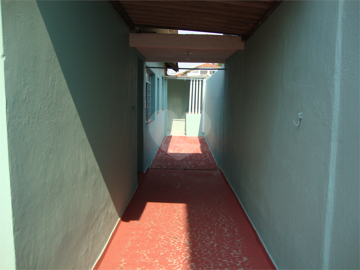 Foto REO656386