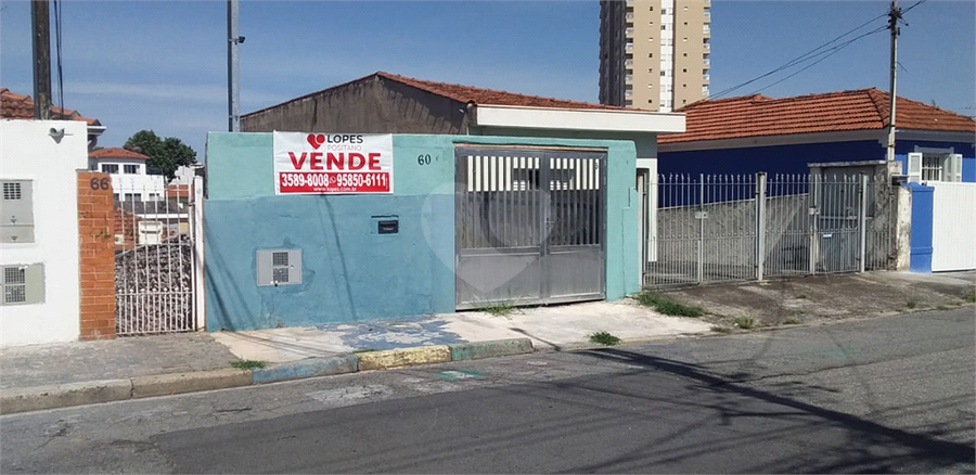 Foto REO656386