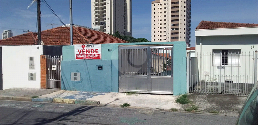 Foto REO656386