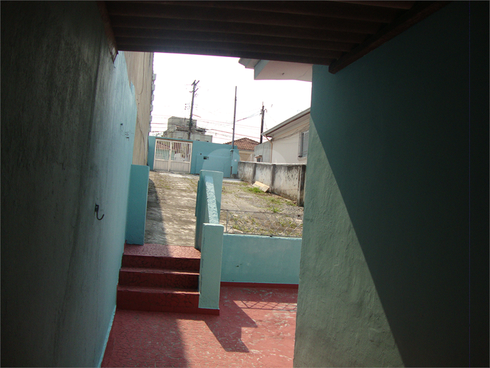 Foto REO656386