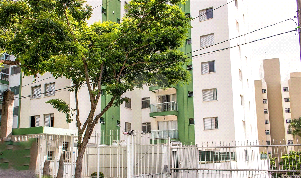 Venda Apartamento São Paulo Vila Amélia REO656418 11