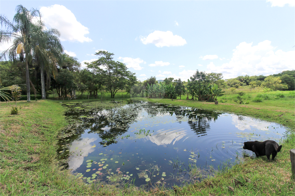 Venda Sítio Bragança Paulista Área Rural De Bragança Paulista REO656982 129