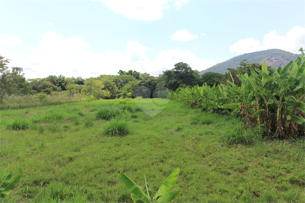 Venda Sítio Bragança Paulista Área Rural De Bragança Paulista REO656982 132