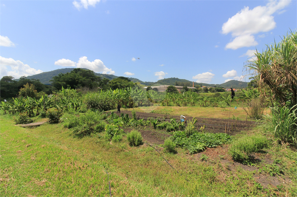 Venda Sítio Bragança Paulista Área Rural De Bragança Paulista REO656982 128